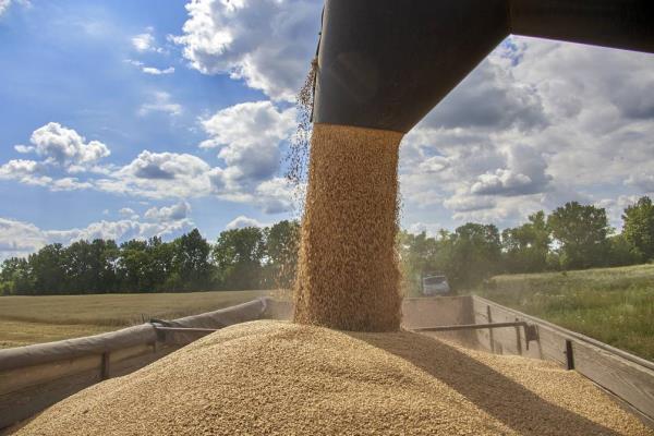 美国将从乌克兰购买小麦，用于联合国对抗饥饿项目
