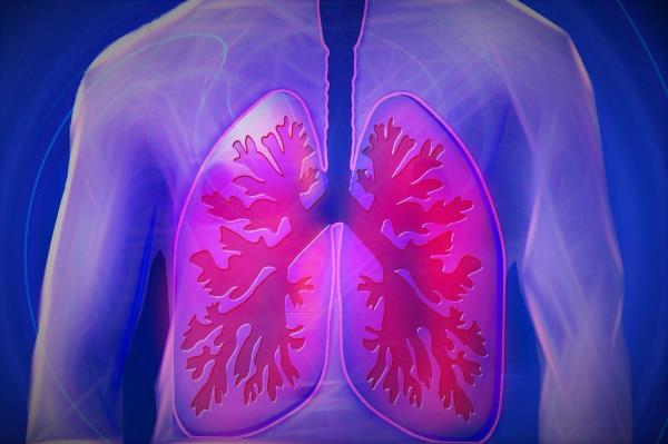 人工迷你肺可以进一步研究肺炎球菌