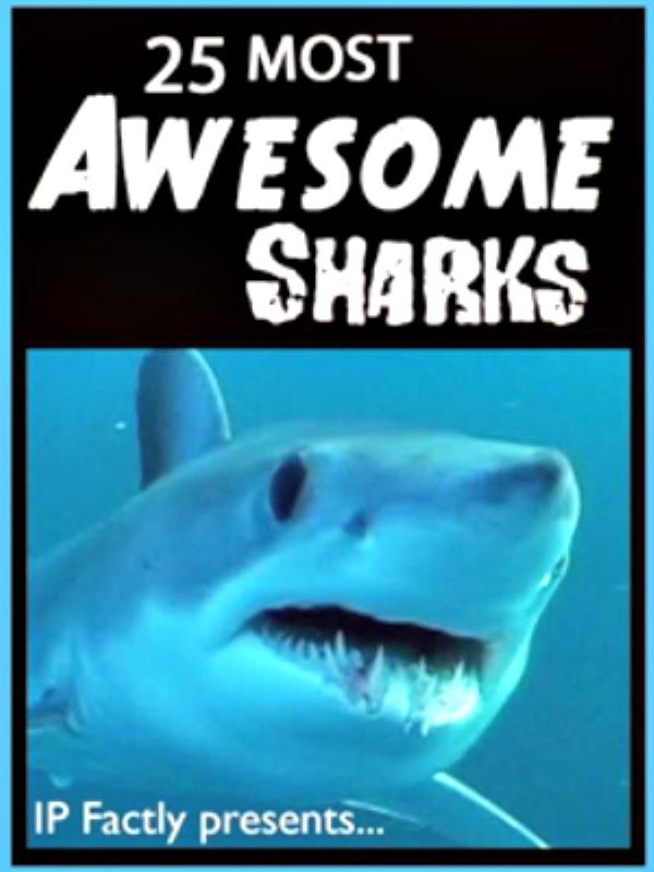 awesome shark