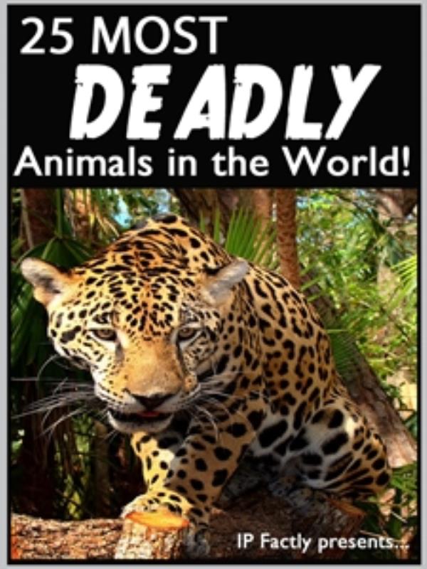 25 Most Deadly Animals in the World!